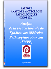 Analyse_SMPF_Rapport_DGOS_10-2012